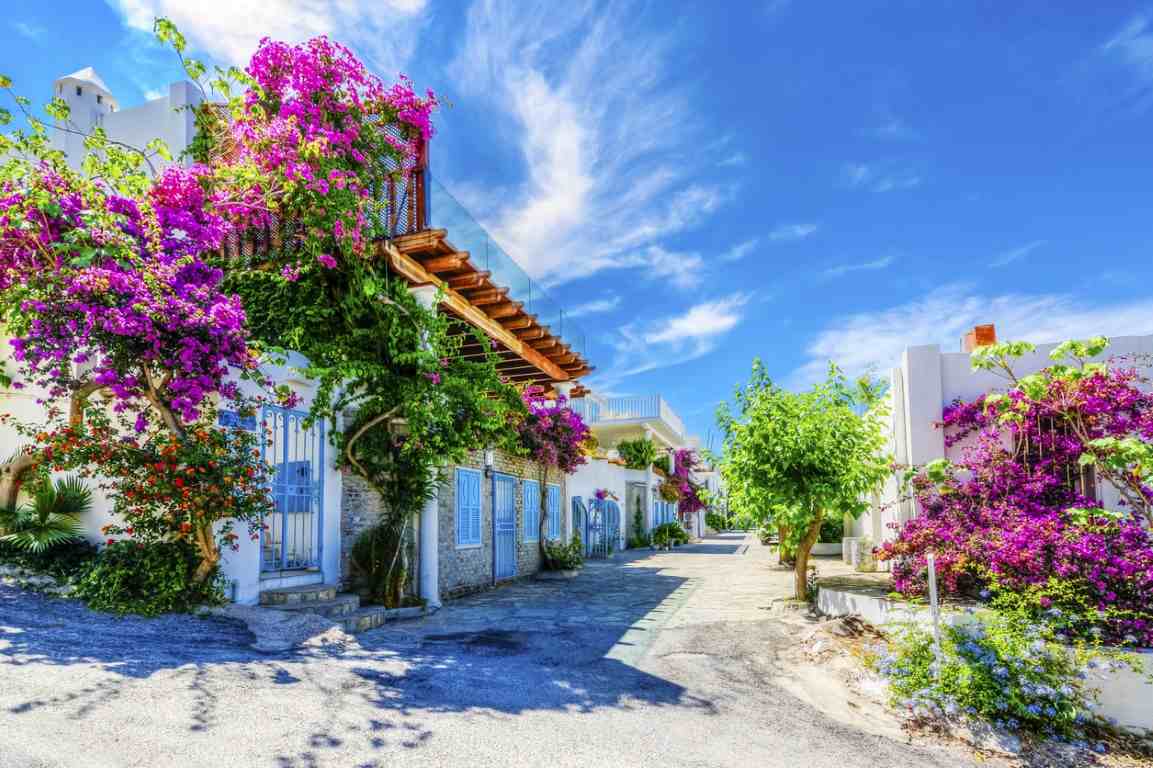Çeşme Alaçatı Transfer Hizmeti 